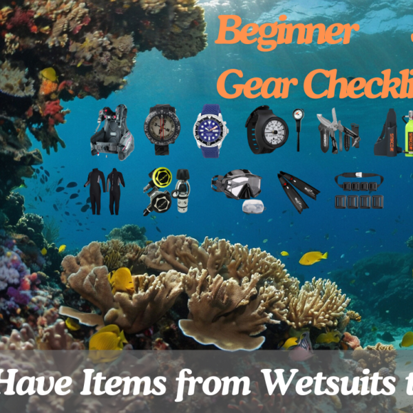 Essential Beginner Scuba Gear