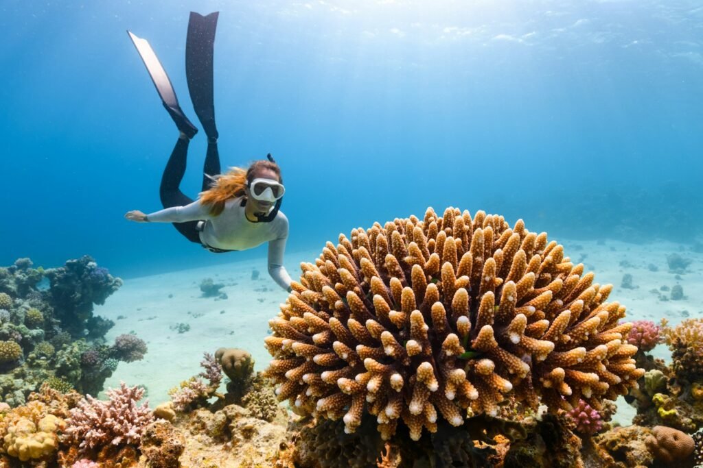 best places to scuba dive