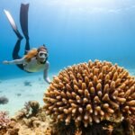 best places to scuba dive