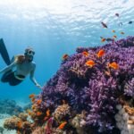 Scuba Diving Basics